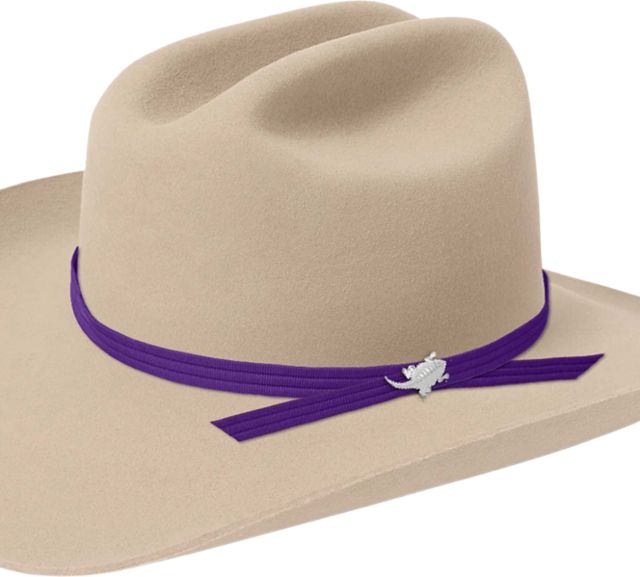 Texas Christian University Gameday Stetson Cowboy Hat