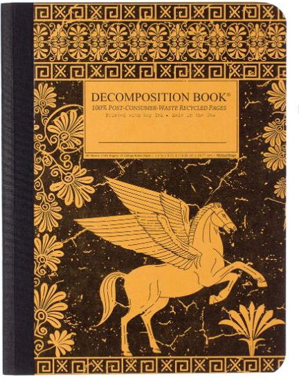 COMPBK PEGASUS DECOMP LG