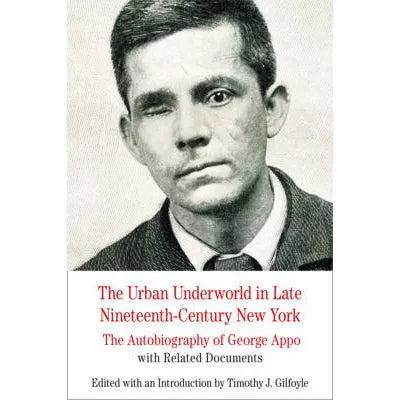 Urban Underworld in Late Nineteenth-Century New York