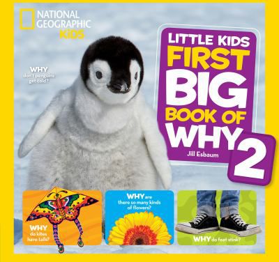 LITTLE KIDS FIRST BIG BK WHY 2